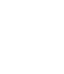 Capstone Growth - SAFETY & SECURITY